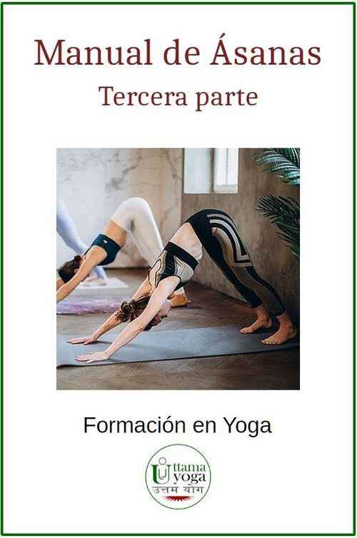 Personas practicando Yoga