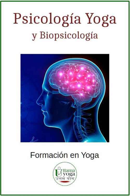 Representación artística del cerebro